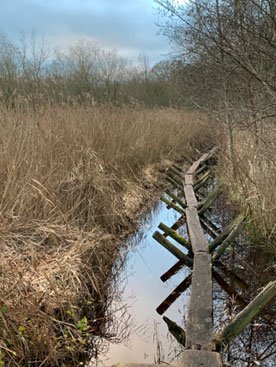 Somerset Levels Somerset Levels